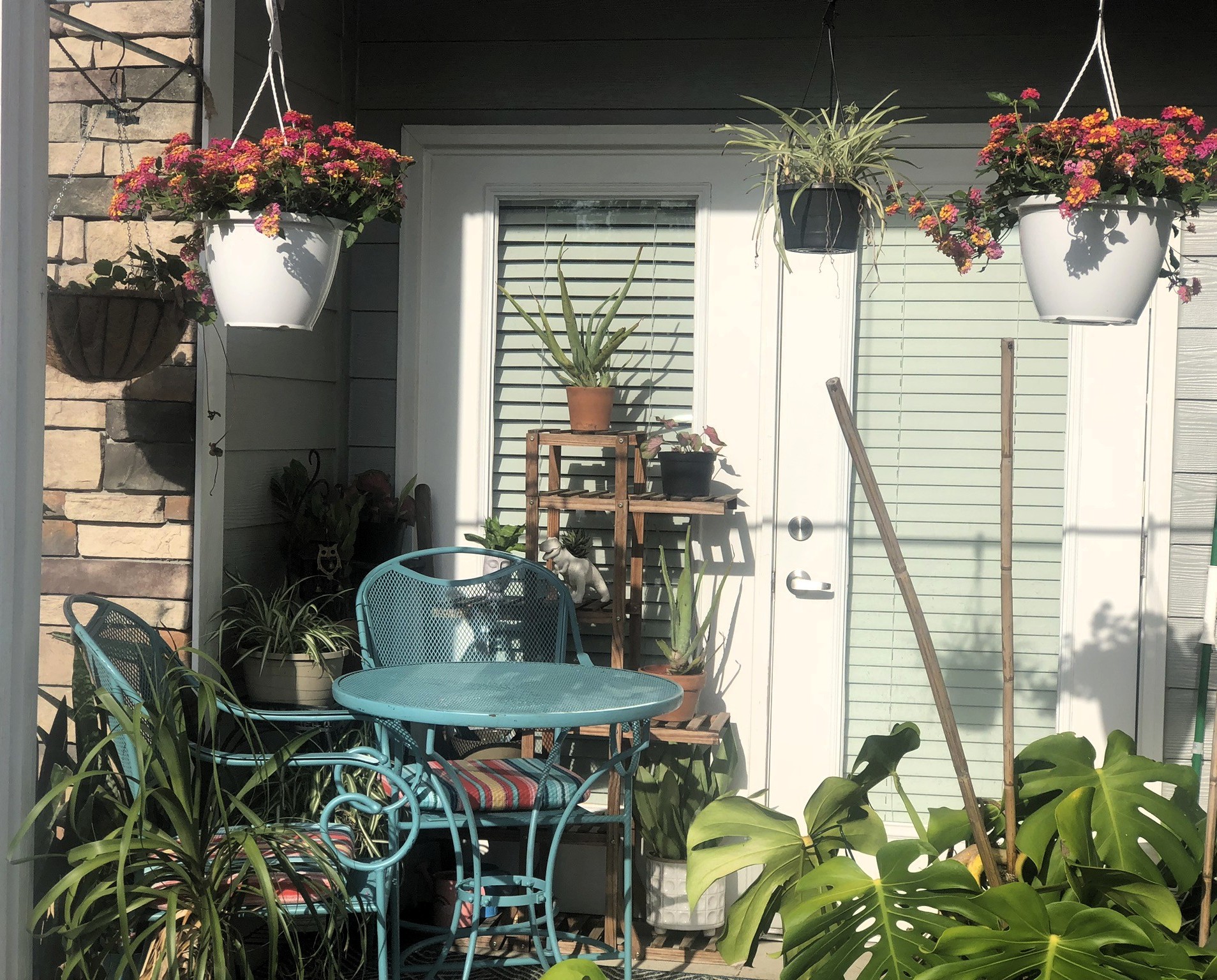 Creating a Cozy Outdoor Oasis: My West-Facing Patio Journey in the Lowcountry